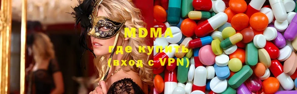 индика Заводоуковск