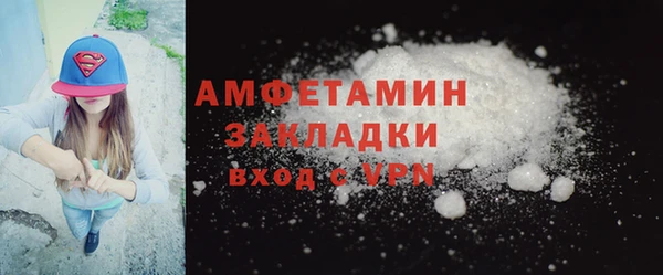 индика Заводоуковск
