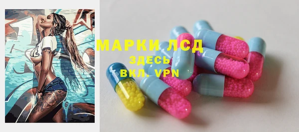 индика Заводоуковск