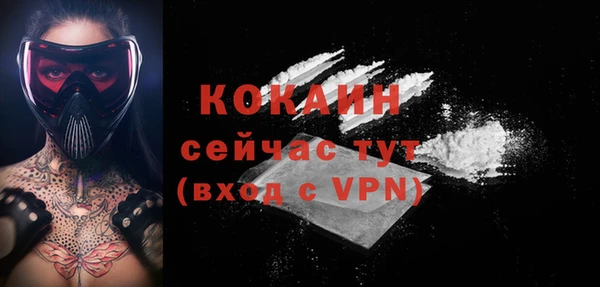 индика Заводоуковск
