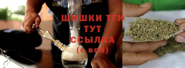 индика Заводоуковск
