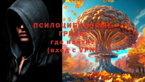 индика Заводоуковск