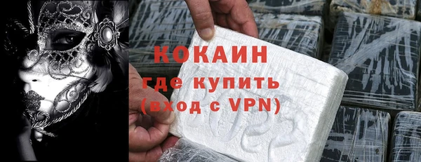 индика Заводоуковск