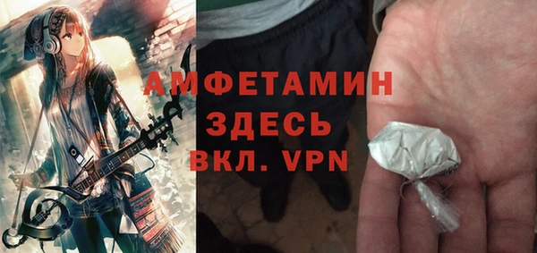 индика Заводоуковск