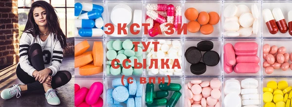 индика Заводоуковск