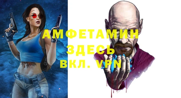 индика Заводоуковск